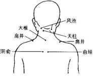 曲垣怎么读音？曲垣穴的准确位置图和作用
