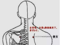 膏肓怎么读？膏肓穴的准确位置图和作用