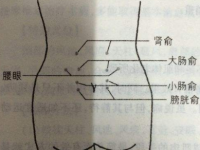 小肠俞怎么容易找？小肠俞的准确位置图片和作用