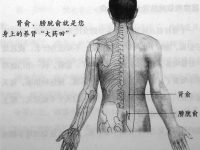 膀胱俞穴怎么找？膀胱俞的准确位置图和作用