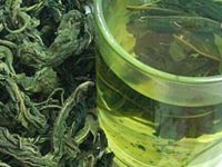 桑叶茶的制作方法，喝了一年桑叶茶糖尿病