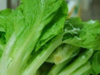 生菜可以生吃吗，生菜的功效与作用禁忌