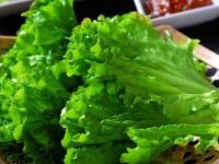 生菜的营养价值及功效，一个长期吃生菜的人会怎么样