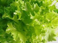 生菜怎么做好吃又简单，医生不吃生菜吗