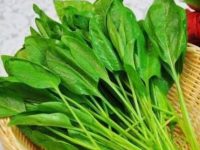 菠菜为什么不能晚上吃，菠菜的禁忌人群