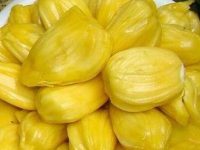 菠萝蜜是凉性还是热性，菠萝蜜上火吗