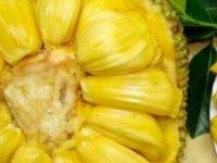 菠萝蜜什么人不能吃，菠萝蜜不适宜人群