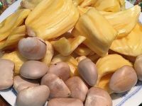 菠萝蜜籽能生吃吗，菠萝蜜籽怎么吃