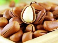 松子不能和什么一起吃，和松子相克的食物