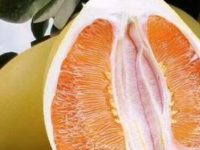 吃葡萄柚会得乳腺癌吗，每天吃葡萄柚会怎么样