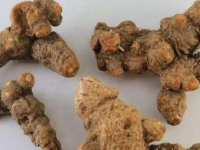 苍术与白术的功效区别，白术与苍术一升一降