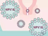 九价hpv疫苗适合人群，九价hpv疫苗26周岁可以打吗