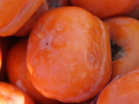 冻柿子是什么意思，冻柿子的功效与作用禁忌
