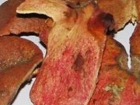石榴皮煮水的6个功效，石榴皮煮水喝的副作用