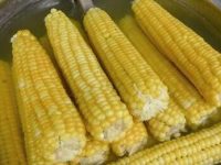 玉米的价格，今年玉米价格是多少钱一斤