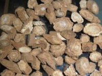 牛蒡根泡水功效与作用，牛蒡根泡水能不能补肾