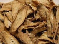 牛蒡根和牛蒡子区别，牛蒡根可以用牛蒡子代替吗