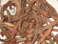 骨碎补怎么吃，骨碎补怎么治斑秃