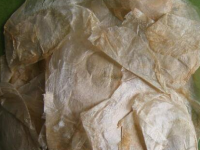 玉蝴蝶天天喝好吗，玉蝴蝶加什么治咽炎