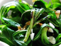 苦菜治什么病最好，苦菜的毒副作用
