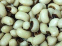 眉豆是热性还是凉性，眉豆哪些人不可以吃