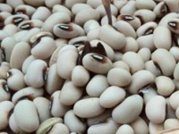 眉豆不能和什么一起吃，眉豆的营养价值和功效