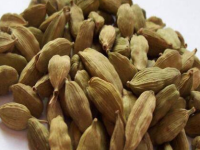 草豆蔻别名又叫什么，草豆蔻是什么科