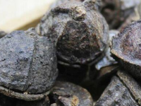 一口钟泡茶能天天喝吗，什么人不能吃一口钟