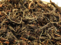 甘松对肝肾有副作用吗，甘松的用量30克多不多