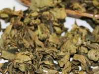 柿叶茶的制作方法，喝了柿叶茶一年