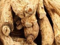 西洋参和人参的区别，外观上怎么区分西洋参和人参