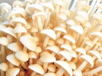 拉屎拉出金针菇正常吗，金针菇为什么不能消化