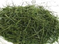 松针茶多少价格一斤，松针茶贵吗