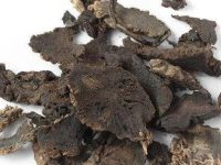 玄参的功效与作用，玄参的副作用与禁忌