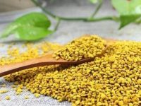 油菜花粉的功效与作用及食用方法