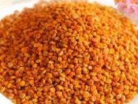 茶花粉的功效与作用及食用方法