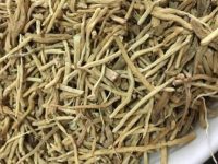 麦冬和什么一起泡最好，麦冬泡水喝的五大禁忌