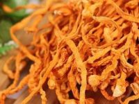 虫草花怎么吃，虫草花的作用