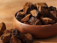 桦树茸为什么中国禁止，桦树茸的功效和吃法