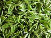 六大基本茶类的加工制作过程及其特点