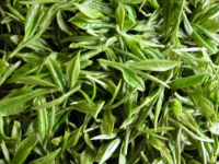 绿茶制作工艺流程及特点