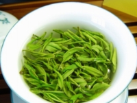 信阳毛尖属于什么茶，信阳毛尖怎么挑选看好坏