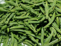 如何区分陈茶与新茶，陈茶和新茶的区别主要看什么