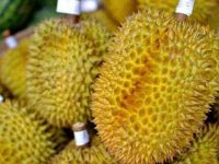 榴莲壳的功效与作用及食用方法