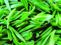 碧螺春属于什么茶，碧螺春的等级标准