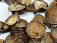 附子的功效与作用，附子的禁忌及副作用