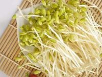 绿豆芽的功效与作用，绿豆芽的禁忌及副作用