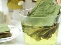 荷叶茶的功效与作用及禁忌是什么