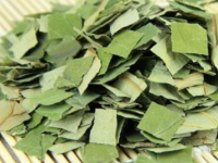 荷叶茶的功效与禁忌，荷叶茶的副作用