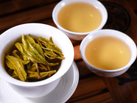 生普洱茶的功效与禁忌，喝生普洱茶的好处